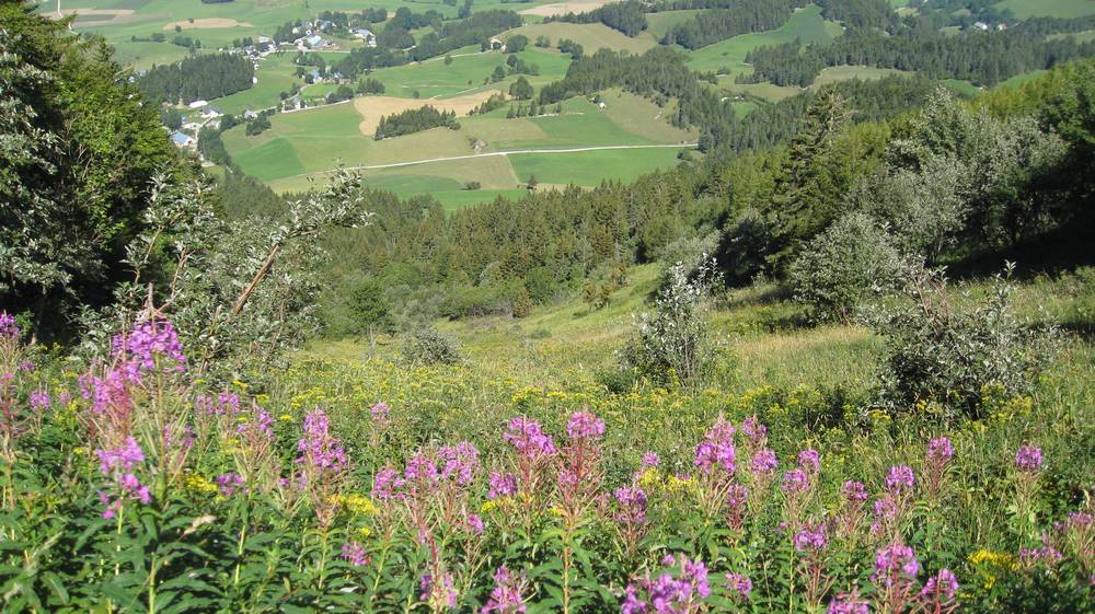 #2 Les Fourches : ça change de l Les Fourches : ça change de l'hiver !!