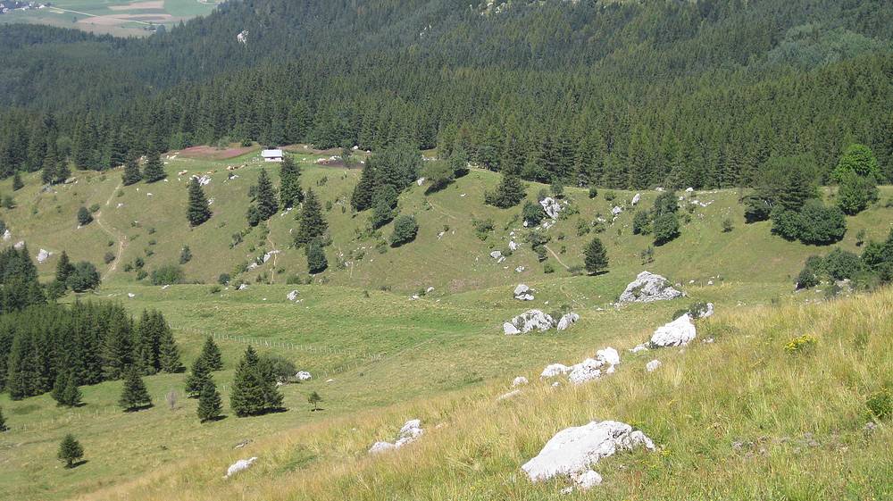 #16 Cabane de Roybon : en vue Cabane de Roybon : en vue
