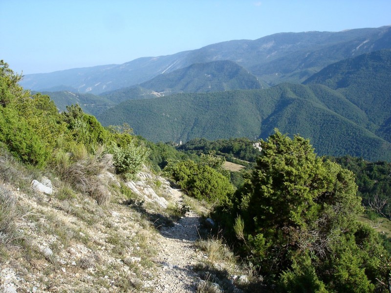 #6 Sigale : Direction Sigale Sigale : Direction Sigale