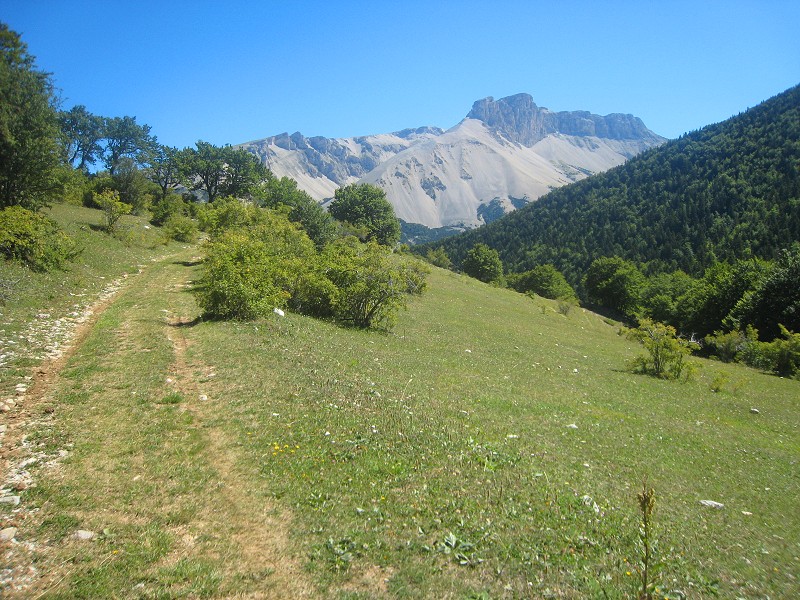#7 Piste : en montant vers Plate Contier, une jolie vue sur la montagne d Piste : en montant vers Plate Contier, une jolie vue sur la montagne d'Aurouze