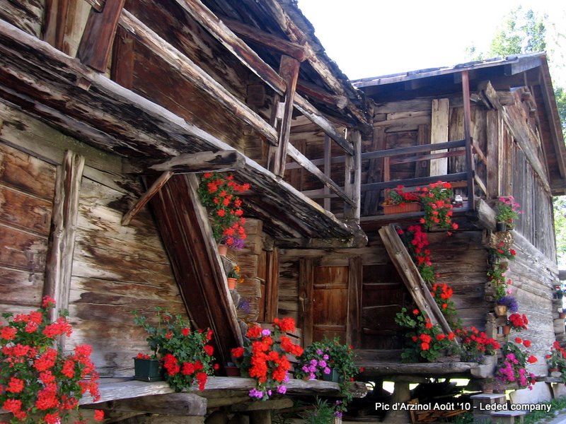 Habitat local : Le pays du géranium ...