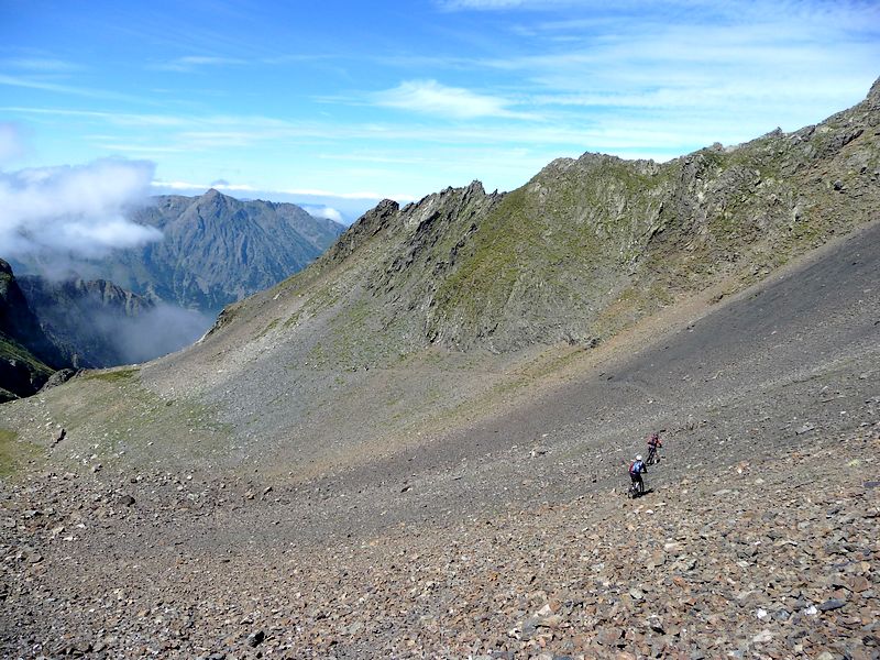 Sentier : Paysage verdoyant