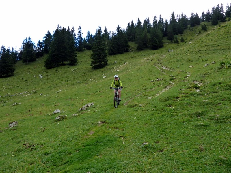 #4 La Dôle : Descente versant S sur le chalet de la Dôle La Dôle : Descente versant S sur le chalet de la Dôle