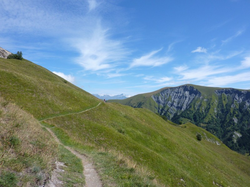 #4 Monotrace : Que demander de mieux ! Monotrace : Que demander de mieux !