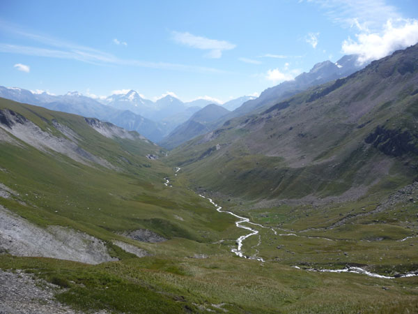 #13 Vallon : Extrait:Fond du vallon Vallon : Extrait:Fond du vallon