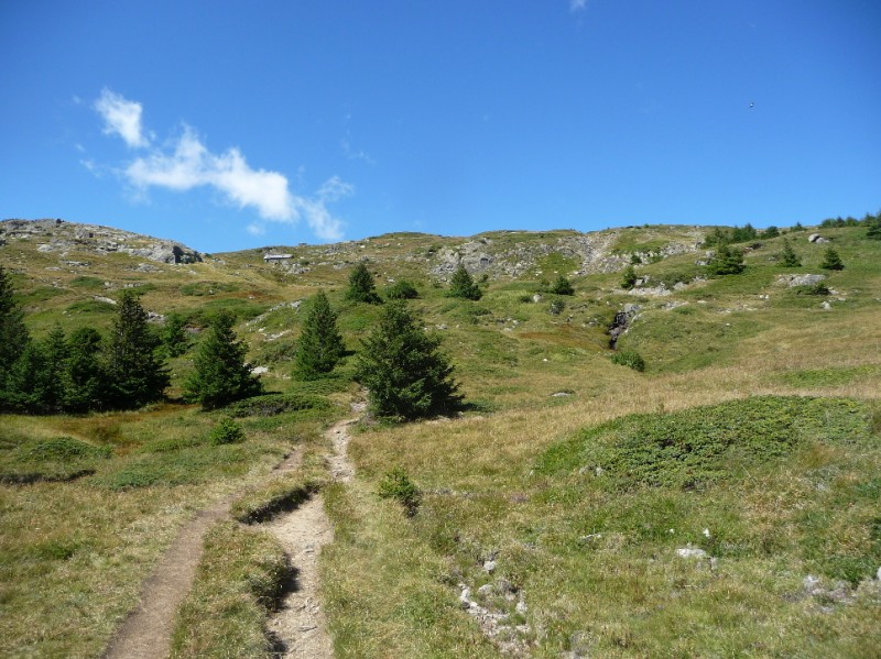 #3 Lac Fourchu : après le portage, sentier sympa. Lac Fourchu : après le portage, sentier sympa.