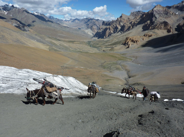 #17 Senge La : Les vélos arrivent (sur les ânes) au Senge La (4970 m) Senge La : Les vélos arrivent (sur les ânes) au Senge La (4970 m)