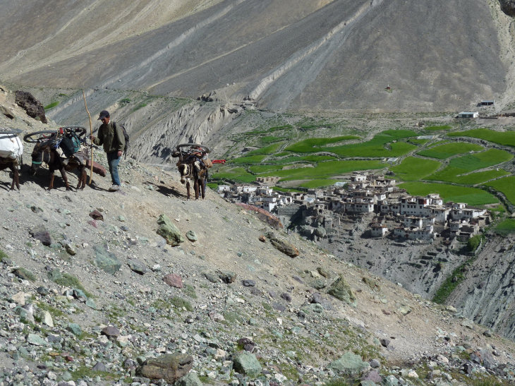 #14 Ladakh : vélos sur les ânes Ladakh : vélos sur les ânes