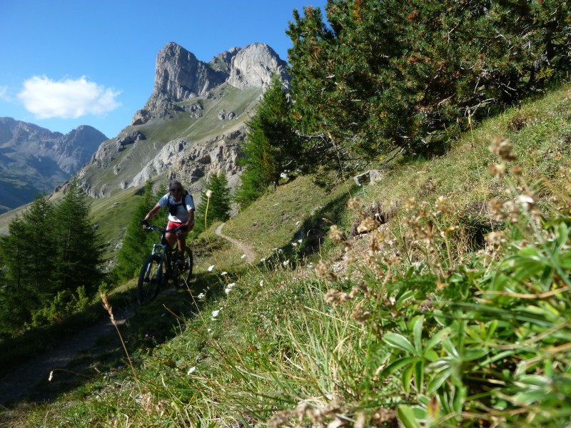 #15 Chemin du Roy : L Chemin du Roy : L'excelletissime Chemin du Roy ..