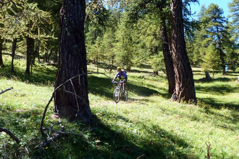 #6 Casse Massion : Descente dans les mélèzes Casse Massion : Descente dans les mélèzes