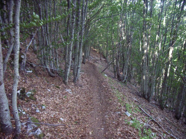 descente du Col de La Roche : avec épingle relevée au bout de chaque ligne droite