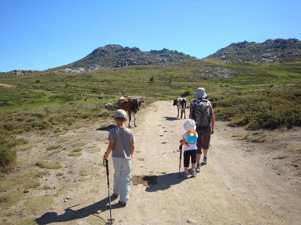 #2 Plateau : Des kilomètres de pistes sur ce plateau horizontal. Plateau : Des kilomètres de pistes sur ce plateau horizontal.