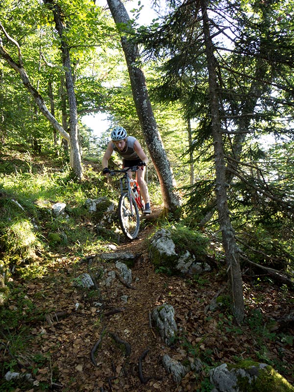 #3 Sur la crête : quelques petites marches pour commencer Sur la crête : quelques petites marches pour commencer