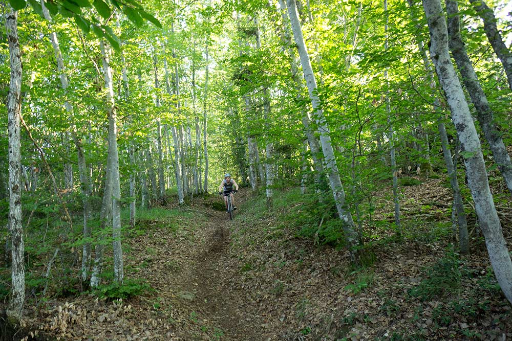 #5 Sous bois : Bien rapide par endroit Sous bois : Bien rapide par endroit