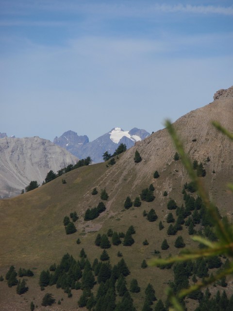 #5 Depuis le point 2322 m : coup d Depuis le point 2322 m : coup d'oeil vers le Pelvoux