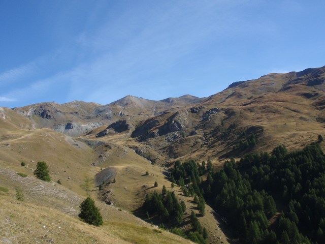 #1 Grand Vallon de Péas : La sécheresse de l Grand Vallon de Péas : La sécheresse de l'été et le froid de ces derniers jours ont eu raison des alpages.