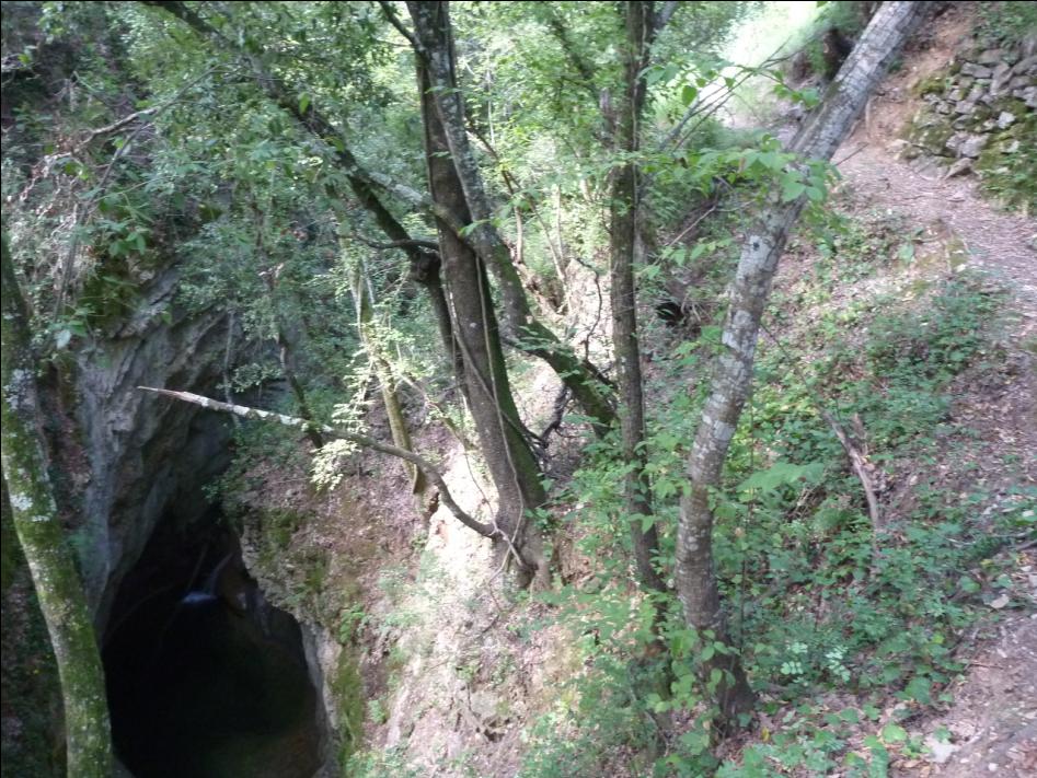 #5 Cime du Bosc : Option rafraichissement Cime du Bosc : Option rafraichissement