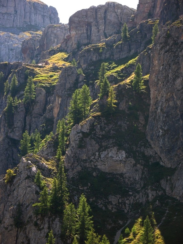#11 versant NO des Aiguilles : jeux d versant NO des Aiguilles : jeux d'ombres