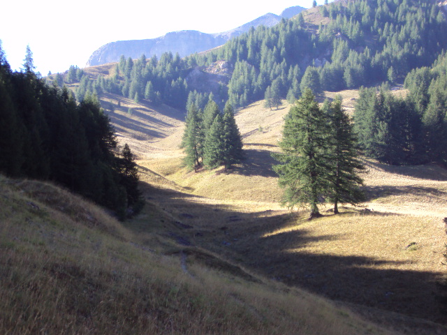 #4 vallon du riou blanc : un bel alpage vallon du riou blanc : un bel alpage