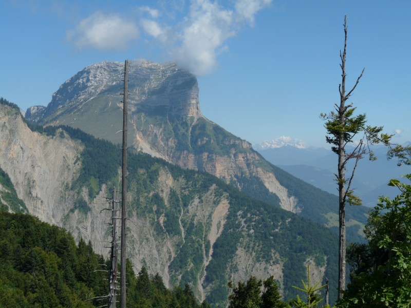 Crolle et Mt Blanc : La Dent de Crolle, avec le Mont Blanc en toile de fond.