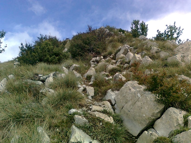 #7 Descente du Cuchon : Un des passages NR, là faut vraiment avoir un niveau de trialiste pour passer ! Descente du Cuchon : Un des passages NR, là faut vraiment avoir un niveau de trialiste pour passer !