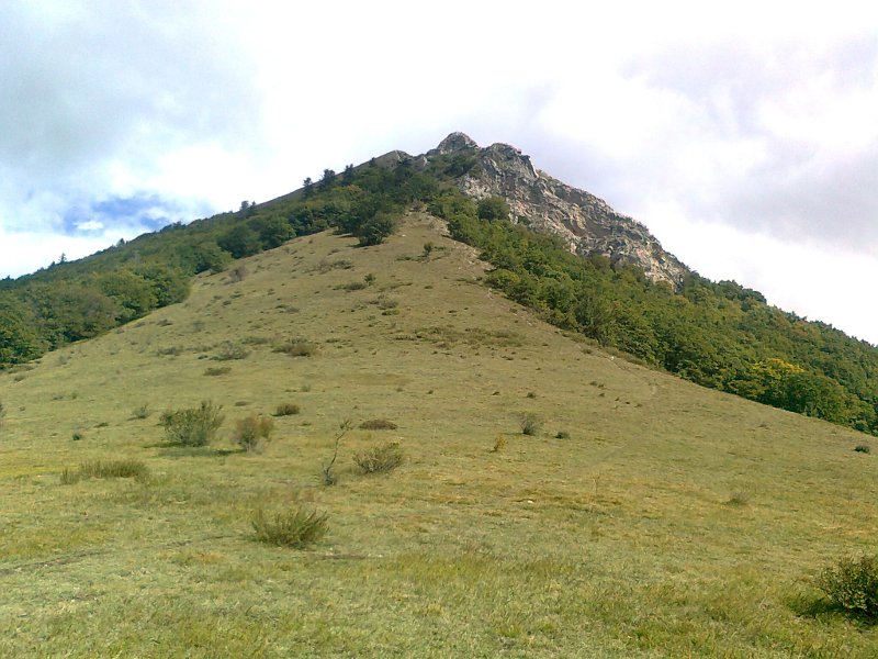 #9 Descente du Cuchon : Zone herbeuse à mi-descente avant une zone épinglue - mega cassante !! Descente du Cuchon : Zone herbeuse à mi-descente avant une zone épinglue - mega cassante !!