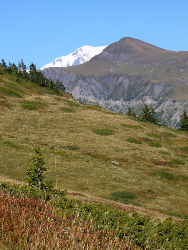 Mt Blanc et Pte de Riondet ? : La montagne commence à prendre ses couleurs d'automne