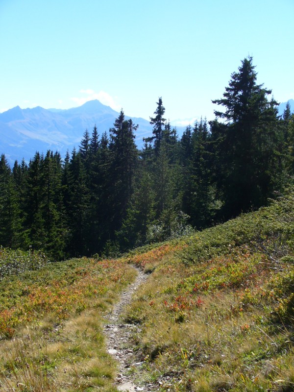 Sentier de montée : A la sortie de la forêt, avec vue sur le Cheval Noir.