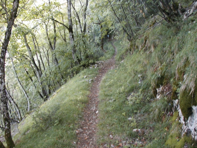 #7 Sentier des lacets : No comment ! Sentier des lacets : No comment !