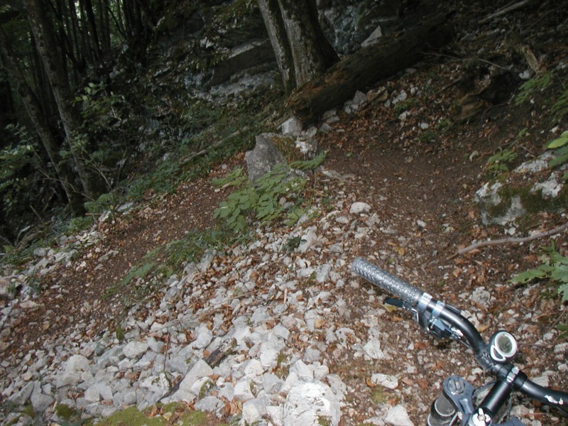 #9 Sentier des lacets 3 : Une des épingles Sentier des lacets 3 : Une des épingles