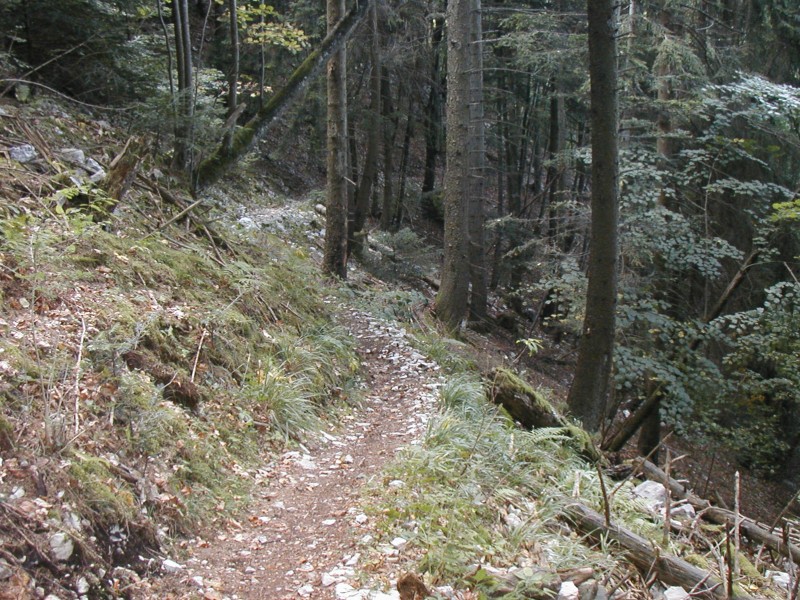 #8 Sentier des lacets 2 : yes ! Sentier des lacets 2 : yes !