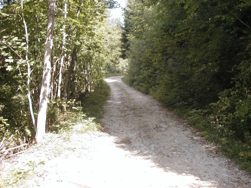 #1 La piste de montée : C La piste de montée : C'est un peu monotone, mais facile