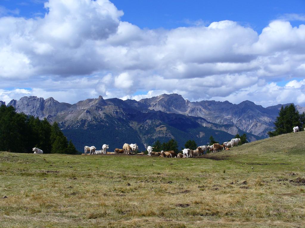 Sommet Bucher : Col des Prés Fromage