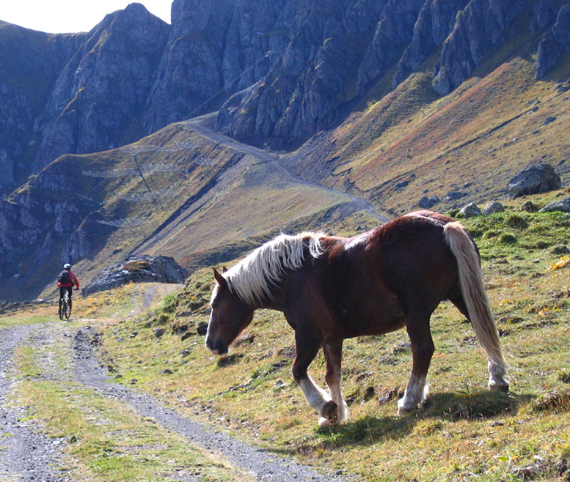 #90 Passo Padon : Qq peu intrigué mais sans plus. En fond, le Passo Padon se trouve au bout d Passo Padon : Qq peu intrigué mais sans plus. En fond, le Passo Padon se trouve au bout d'un portage raid sur la droite