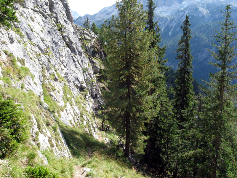 Forcella di Chiesa via 3 : Marche bois et main courante. Pas beaucoup roulant le sentier.