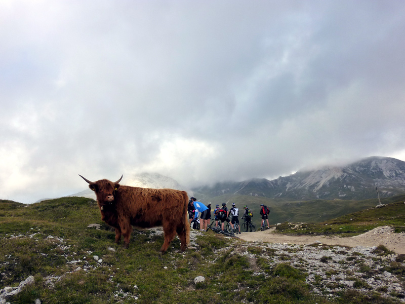 J2 - Yack 'moulin' : Élevage de yack au pied du Forcella Riciogogn