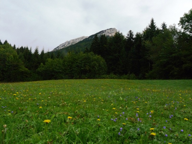 #4 Chamechaude : avec un pré bien fleuri. Chamechaude : avec un pré bien fleuri.