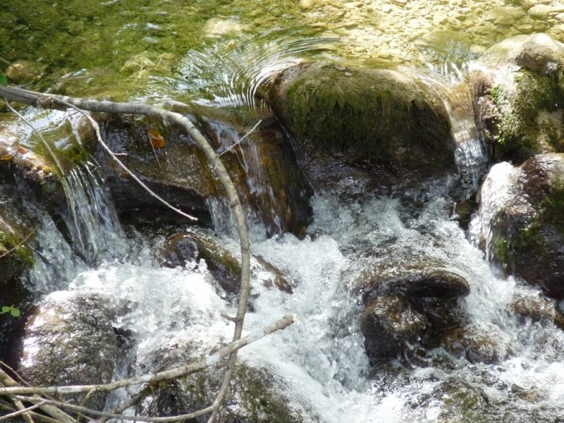 #3 La Vence : Il ne fait plus assez chaud pour les baignades. La Vence : Il ne fait plus assez chaud pour les baignades.