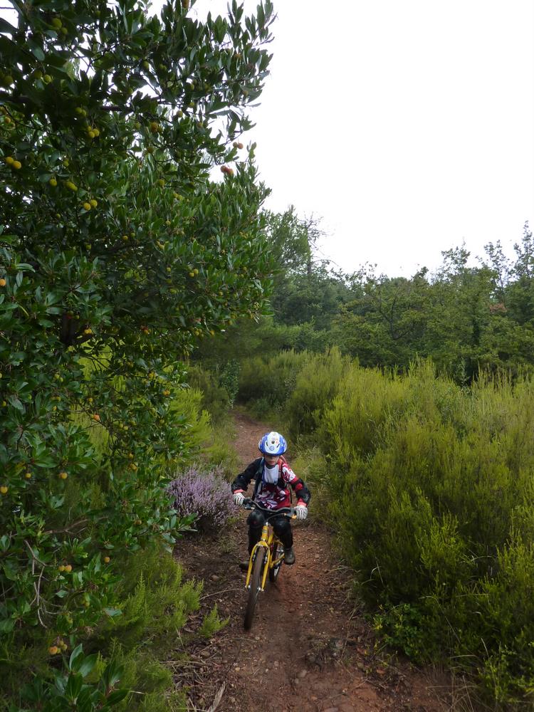 #10 Descente sur Roquebrune : En amont de la route, c Descente sur Roquebrune : En amont de la route, c'est génial.