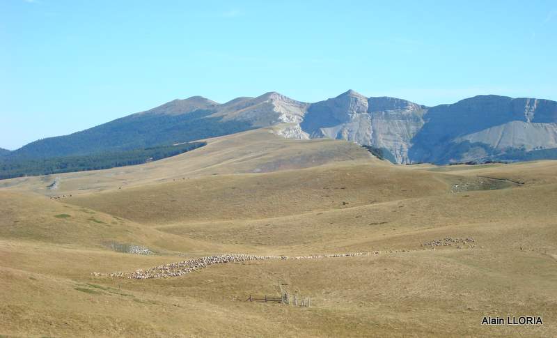 #4 Tête de la dame : Vue sur le plateau d Tête de la dame : Vue sur le plateau d'Ambel