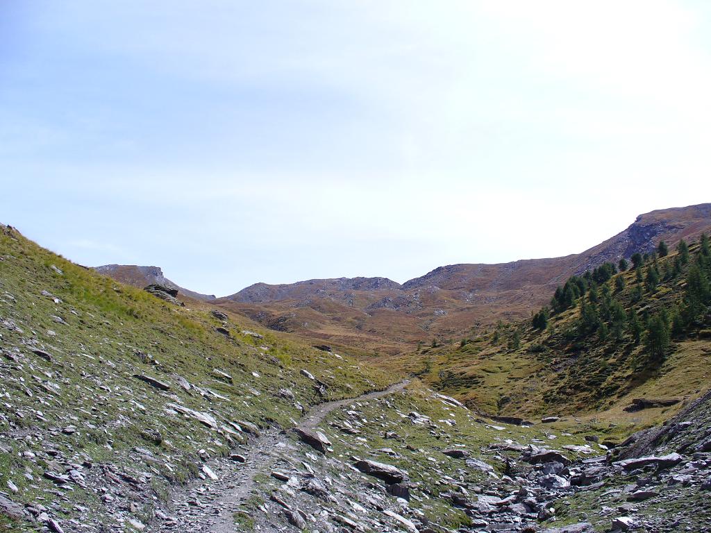 Montée : Sentier toujours roulant ...