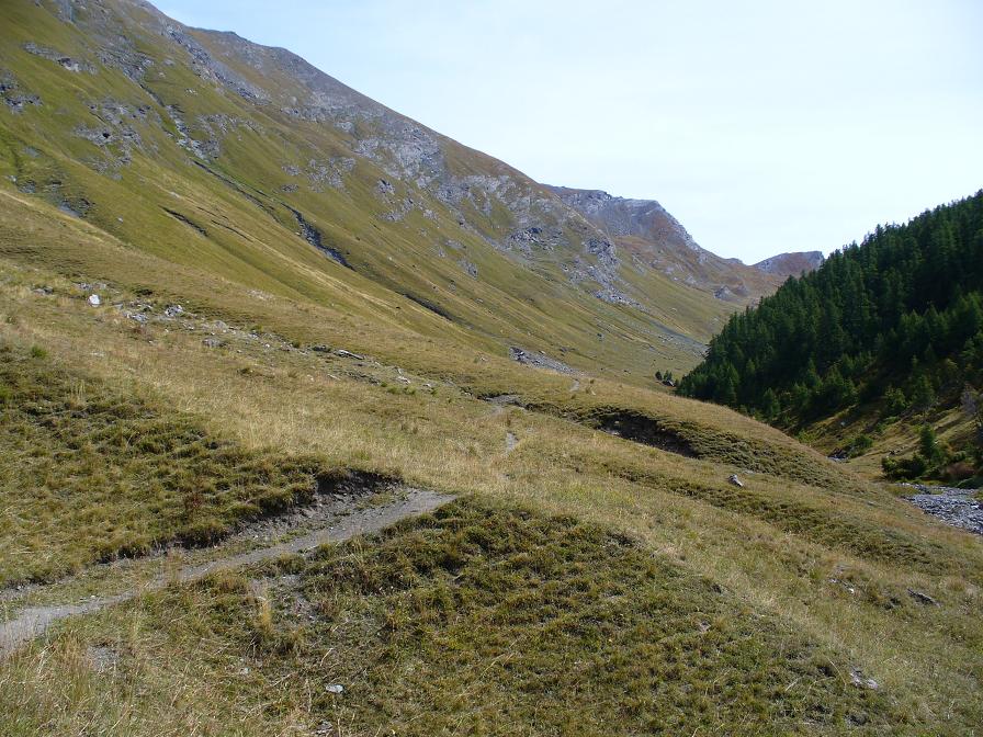 Montée : ... Devenant sentier facile ...