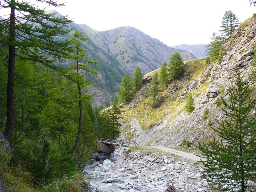 #24 Descente : Retour à la piste Descente : Retour à la piste