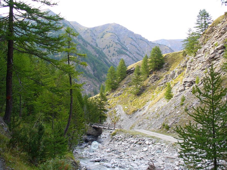 Descente : Retour à la piste