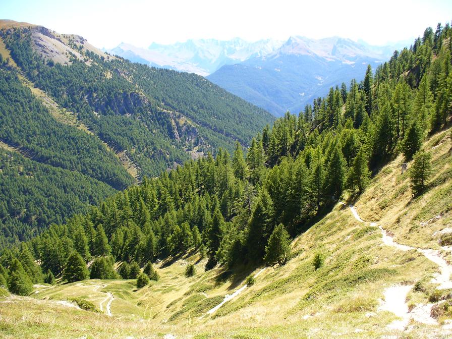 Col du Tronchet : Début de l'excellente descente ...