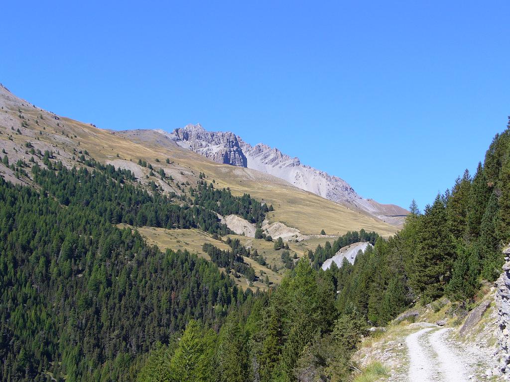 Montée : La piste parfois raide de remontée à la bergerie de Péas