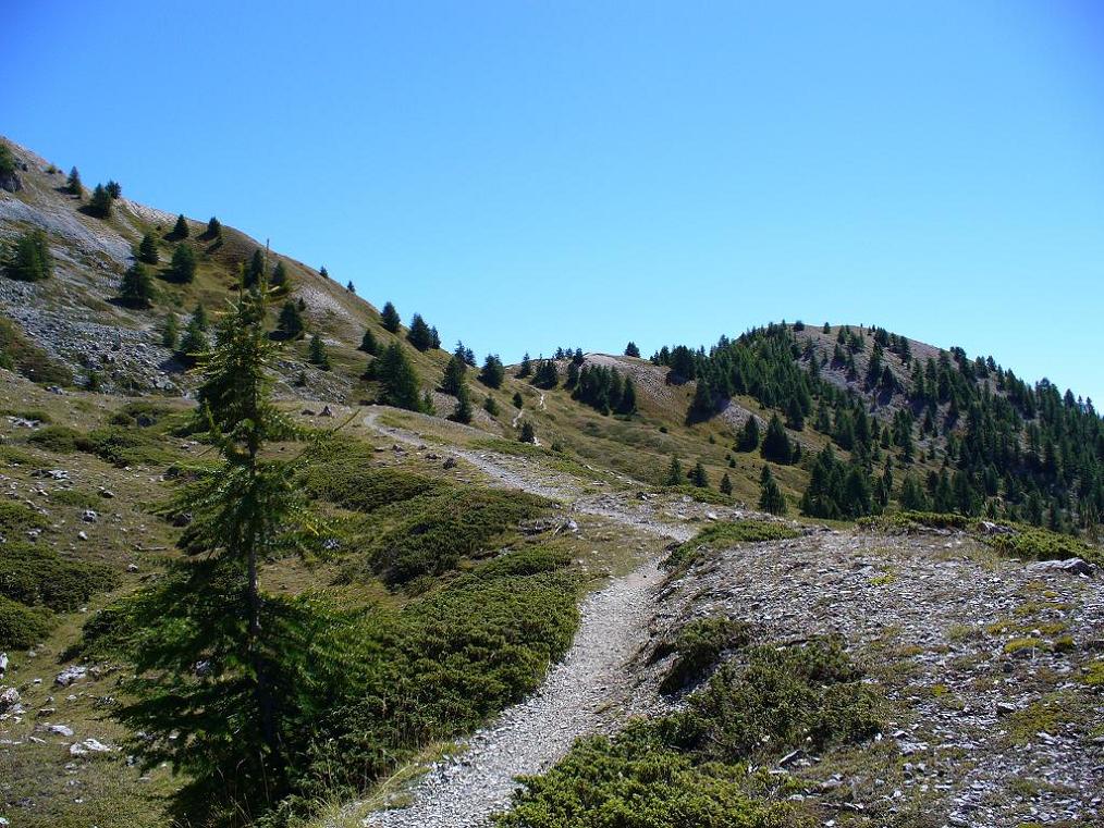 Montée : En route vers le col de Tronchet