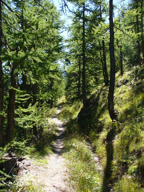 Canal de Roue : Le sentier du canal