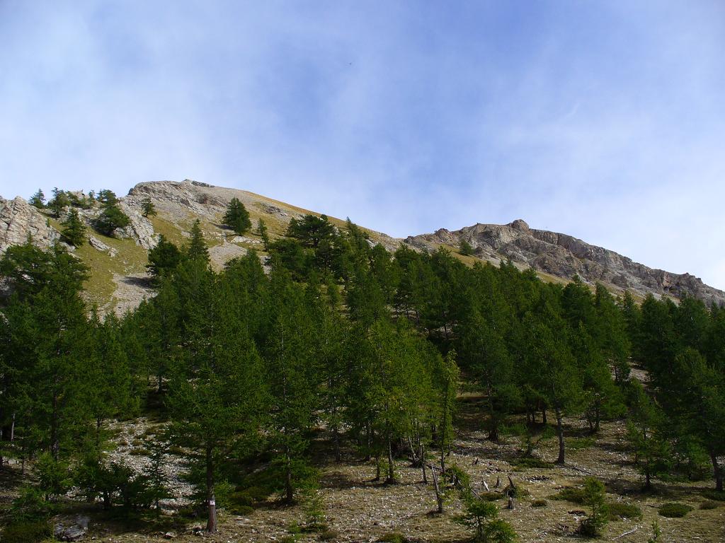 Montée : Les mélèzes commencent un peu à jaunir