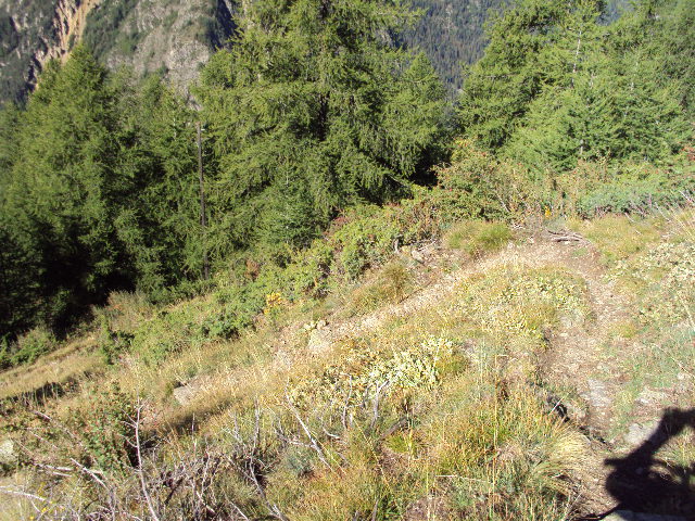 #6 descente fournels : partie intermediaire descente fournels : partie intermediaire